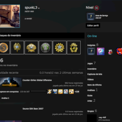 Conta steam com mais de 7 anos, 6 medalhas no cs go + 900 horas de jogo.