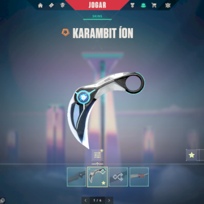CONTA BARATA [KARAMBIT ION & VANDAL RGX] ENVIO AUTOMÁTICO!