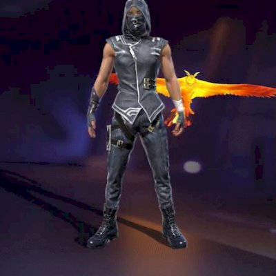 Ninjas ff 
