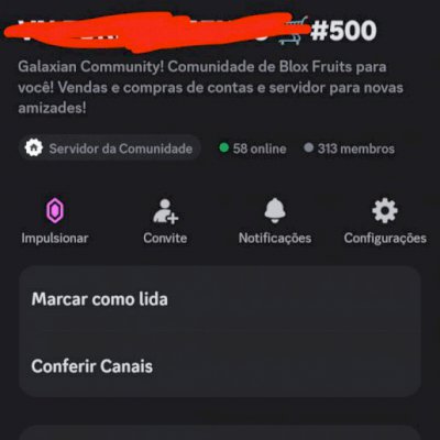 Servidor +300 Membros 