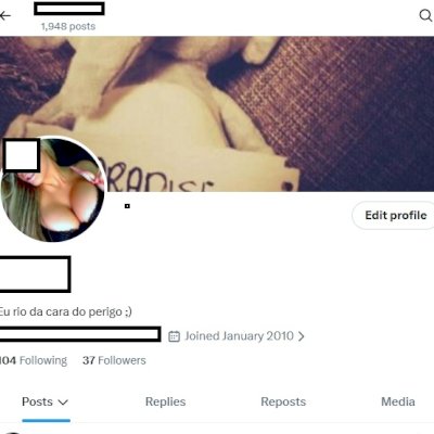 2010-2018 Conta do Twitter Antiga X + Tematica LGBT feminino 18 + Seguidores 