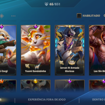 CONTA WILD 