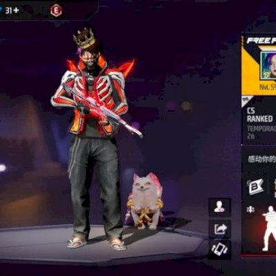 Conta de free fire com 200+ peitas e baratinho.
