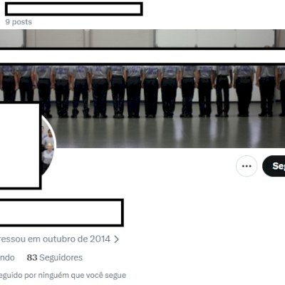 Twitter 2014 + Conta feminina/mascul + Foto de perfil e acesso ao email