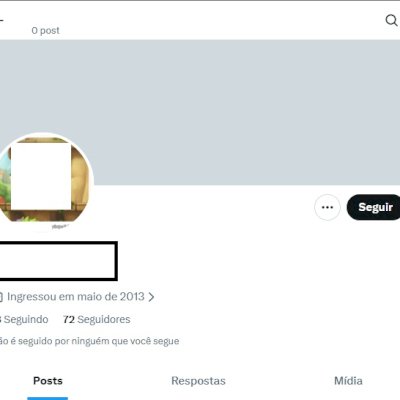 Twitter 2013 + Conta feminina/mascul + Foto de perfil e acesso ao email