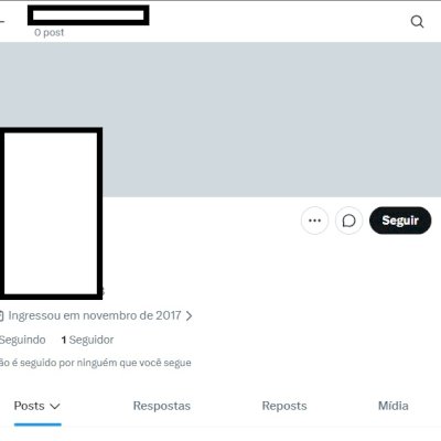 Twitter 2017 + Conta feminina/masculina + perfil confiavel + 2FA
