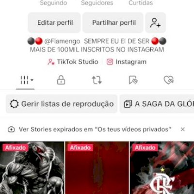 Vendo conta TiKtok 24mil seguidores 