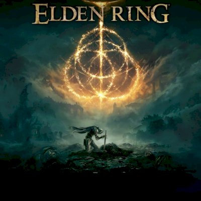 💸 Elden Ring + DLC (steam offline)
