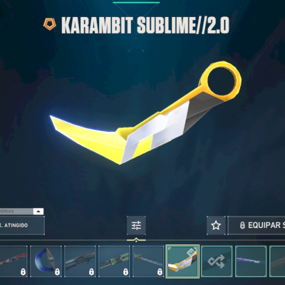 Conta com Karambit sublime 2.0 e 3 skins de vandal!