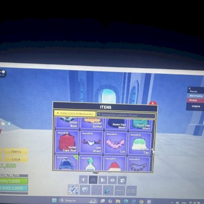 Conta de blox fruts