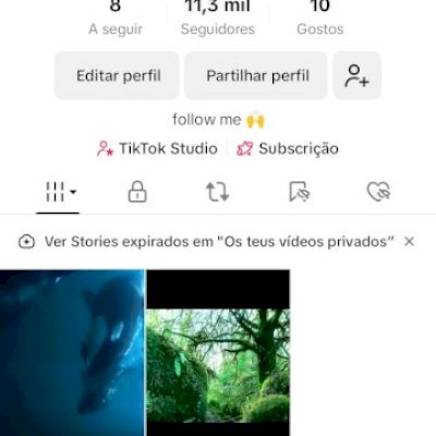 Conta monetizada (11,3 mil seguidore)s 
