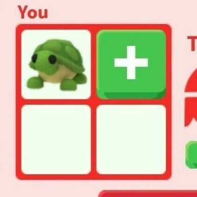 TARTARUGA R