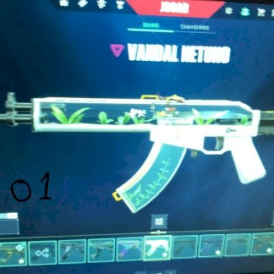 Vendo essas duas contas com muita skin