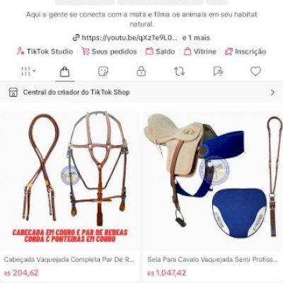 Conta com nicho ativo, 27.900 seguidores 