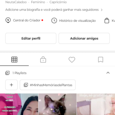 Conta Kwai com 117mil seguidores 