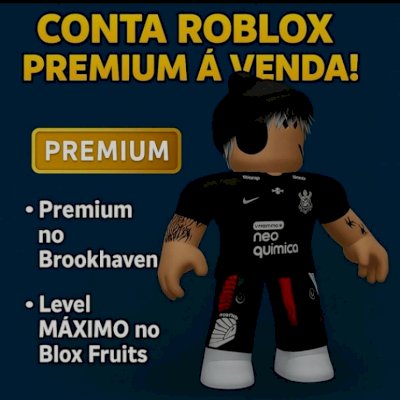 Conta Premium no brookhaven level max no blox fruits e tem Cdk gd human e skull 