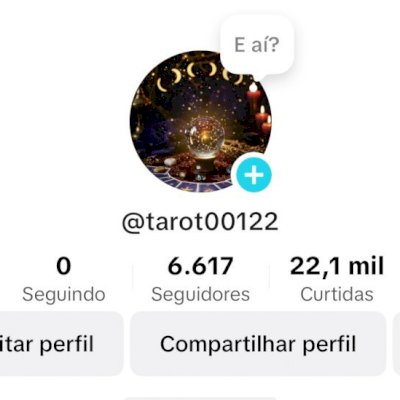 Conta TikTok - Seguidores reais