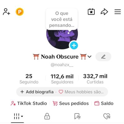 Conta no TikTok com 112,6 mil seguidores e 332,7 mil curtidas.