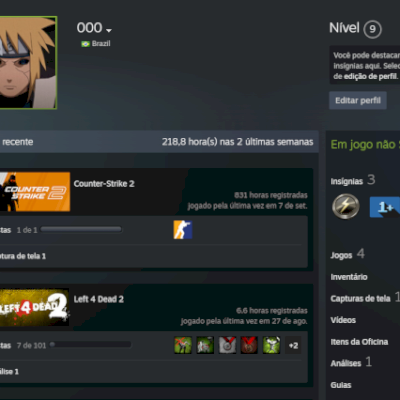 Cs2 PRIME, 800 Horas, 2 Medalhas, 6 Anos de Steam, Left 4 dead 2.