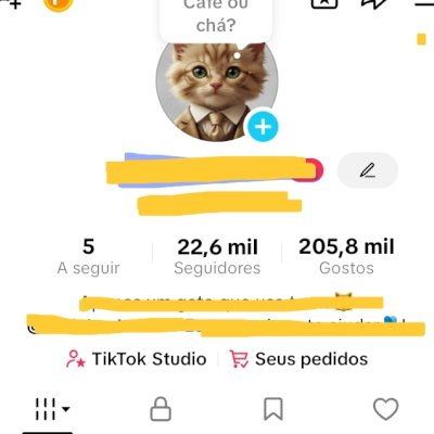 Vendo conta do tiktok com 22k de seguidores e 205k de curtidas