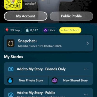 CONTA DO SNAPCHAT PREMIUM 1 ANO - ATENCAO ANTES DE COMPRA LEIA A DESCRICAO 