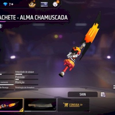Conta FF , 2 anos de conta 