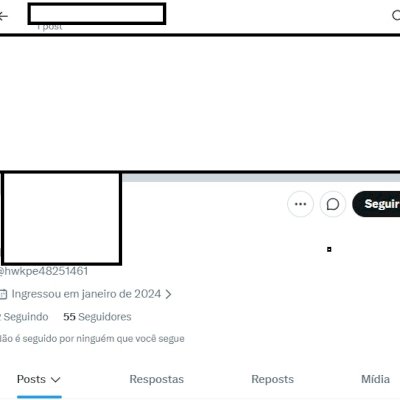 Twitter 2024 seguidores + Conta pessoa + Perfil acesso ao email + email seguro