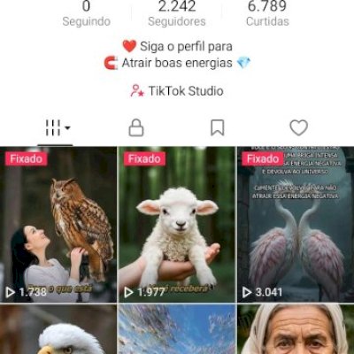 CONTA TIKTOK 2000+ SEGUIDORES BR 🇧🇷 PROMOVER+SITE+LIVES+TROCAR NOME ✅
