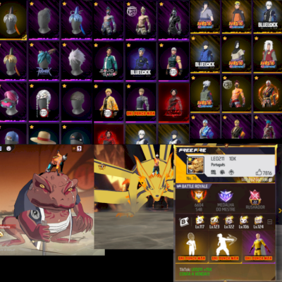 Conta rara +840 peitorais + Ragnarok + fitinhas