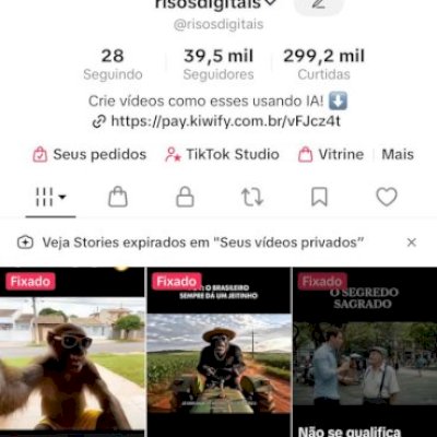 Conta Tik Tok Monetizada 300k curtidas e 40k seguidores 