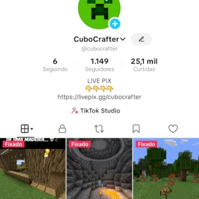 Tiktok Conta com 1 K de seguidores com 300 mil  Visualização nicho Minecraft 