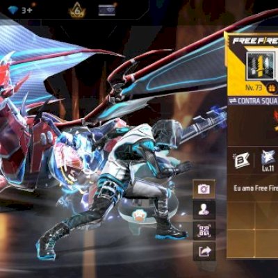 234 skins sendo 19 Hara conta no momento mestre nível 73 algumas skins antigas