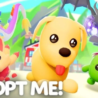 Roblox: Selling turtle FR 🐢(adopt me)