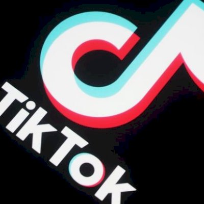 10K DE SEGUIDORES TIKTOK BRASILEIROS PREMIUM 