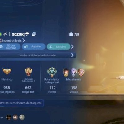 Conta nível 110 com várias skins