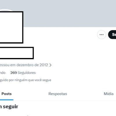 CONTA 2012 X / Twitter + Acesso ao email + Conta segura + 250 seguidores reais