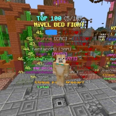 VENDO CONTA TOP 41 BEDFIGHT LEVEL 133