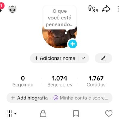 CONTA TIK TOK 1K SEG E 1,7K DE CURTIDAS (CONTAS TIK TOK)