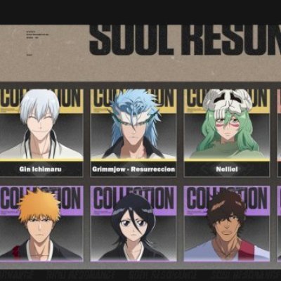 bleach soul resonance 