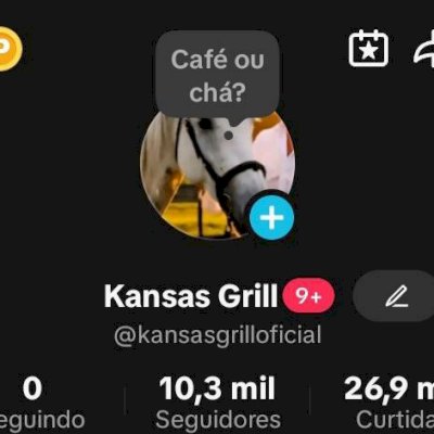 CONTA TIKTOK 10K SEGUIDORES BR 🇧🇷 PROMOVER+SITE+LIVES ✅ SEM MONETIZAÇÃO/SHOP ❌