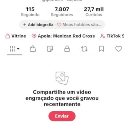 Conta TikTok Nivel 24!! 7.8k de seguidores