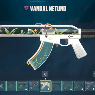 VENDO CONTA VALORANT RADIANTE