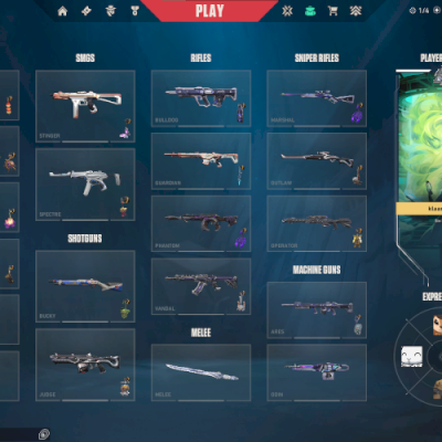 CONTA DE VALORANT NIVEL 314 MUITAS SKINS MUITOS CARDS E MAIS