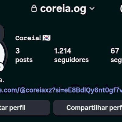 Conta de Instagram com 1300 seguidores.