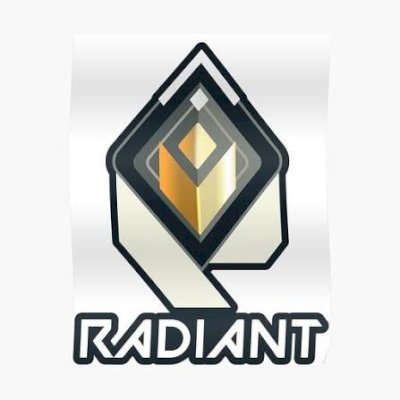 CONTA RADIANTE 1.630,00 GASTOS EM SKINS