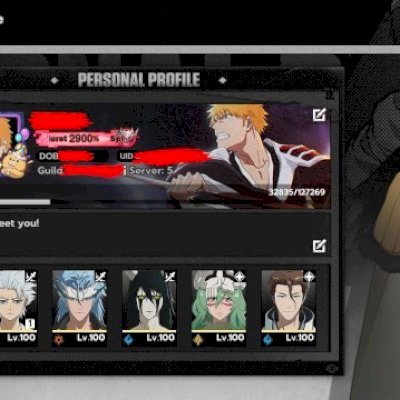 Vendo conta do Bleach Soul ressonance 