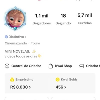 CONTA KWAI COM 1,4 MIL SEGUIDORES ⚠️