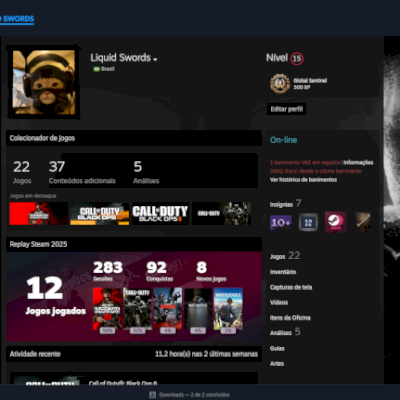  Conta Steam + Activision C/ Bo7, Bo6, Mw3 (2024) e Bo2 Original (Acesso Total)