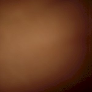 ste ff
