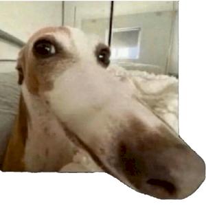Murilo
